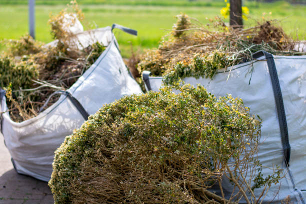 Best Furniture Removal Near Me  in Lake Caroline, VA